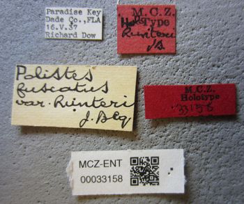 Media type: image;   Entomology 33158 Aspect: labels